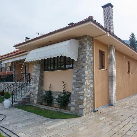 Βίλα Για Όλες Τις Εποχές Του Χρόνου Kozani Buitenkant foto